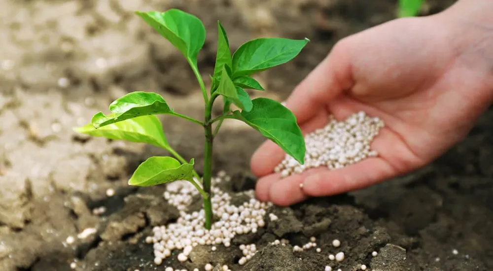 Ви зараз переглядаєте Ціни на азотні добрива виросли вдвічі з початку війни на Близькому Сході