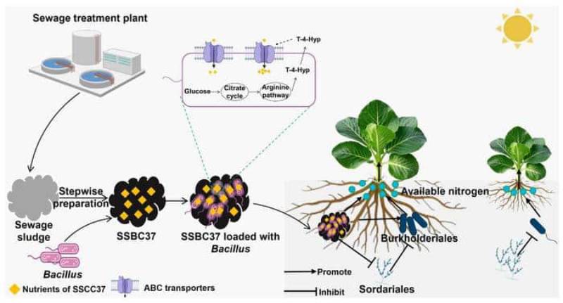 Ілюстрація: https://www.seedworld.com/