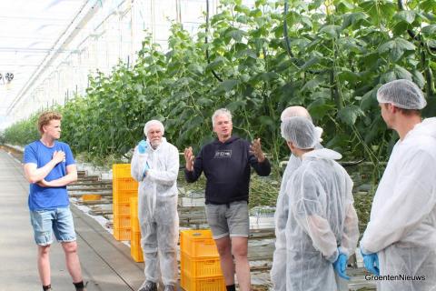 Ви зараз переглядаєте У тепличних огірках під LED спалахи Mycosphaerella пов’язали з мікрокліматом: дослідження в Нідерландах
