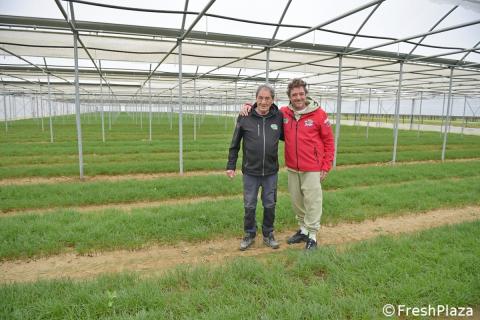 Ви зараз переглядаєте Початок продажу агретті з півночі Італії: виклики та перспективи