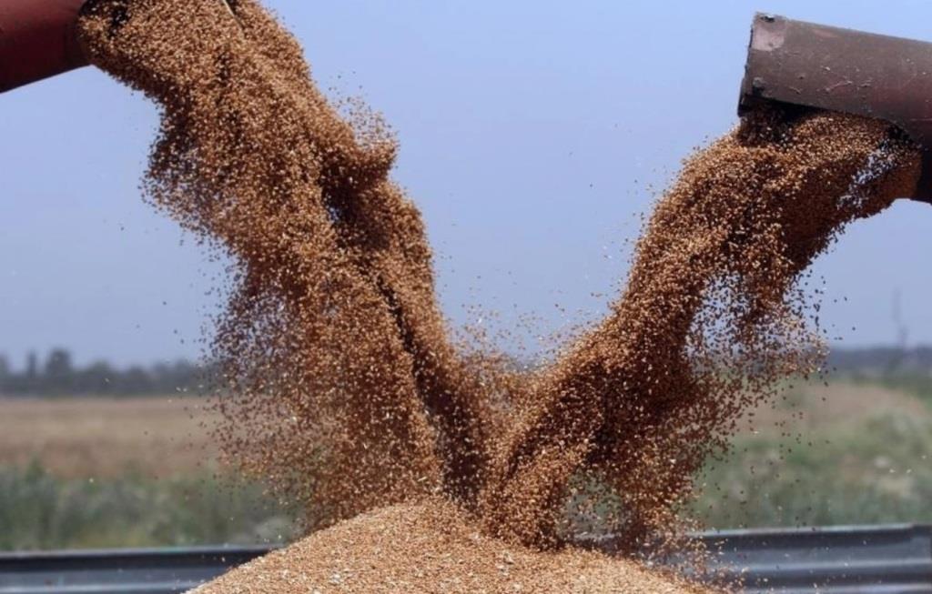 Ви зараз переглядаєте Ціни на зернові знижуються на біржах й відносно стабільні на українському ринку