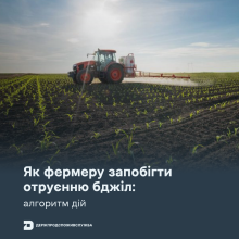 Ви зараз переглядаєте Як фермеру запобігти отруєнню бджіл під час застосування ЗЗР: алгоритм дій