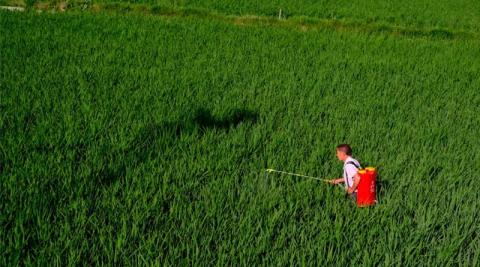 Ви зараз переглядаєте Китай оголосив загальнонаціональну кампанію проти незаконних і заборонених пестицидів