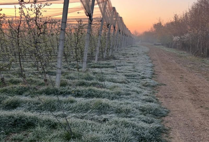 nov 14 04 2026 zamorozki 2