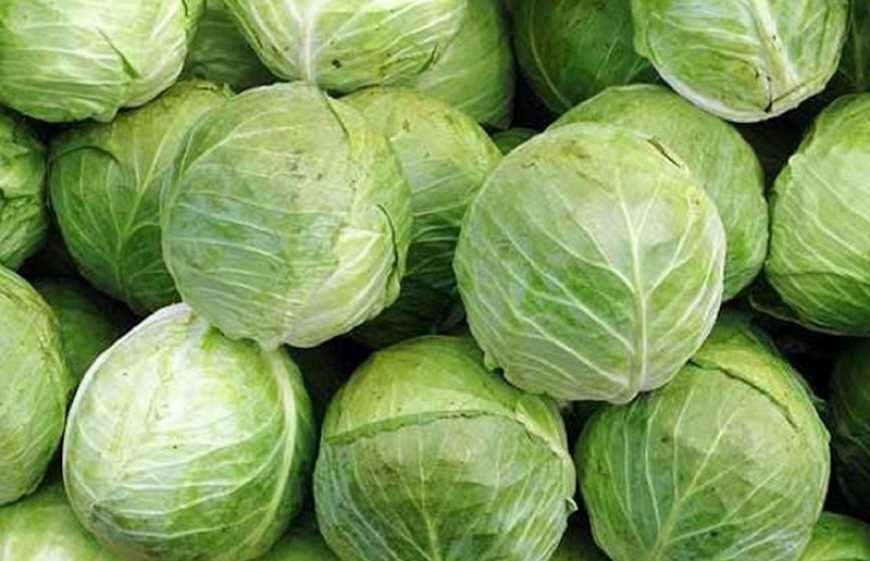 Ви зараз переглядаєте Ціни на білоголову капусту в Україні за рік знизилися вдвічі