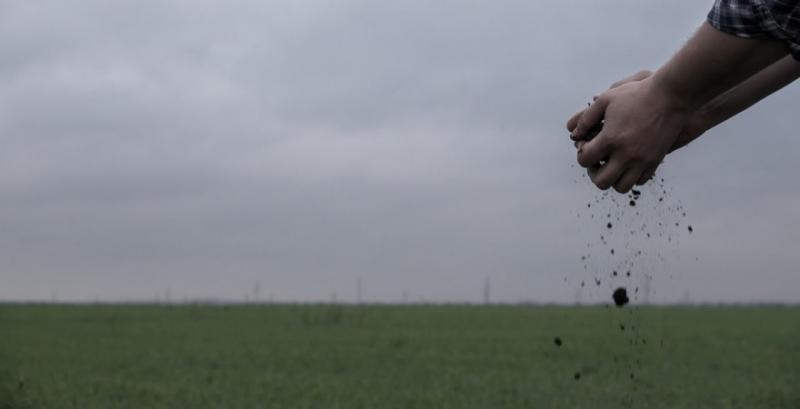 Держземлі у трьох областях розмінують і виставлять на аукціони для аграріїв