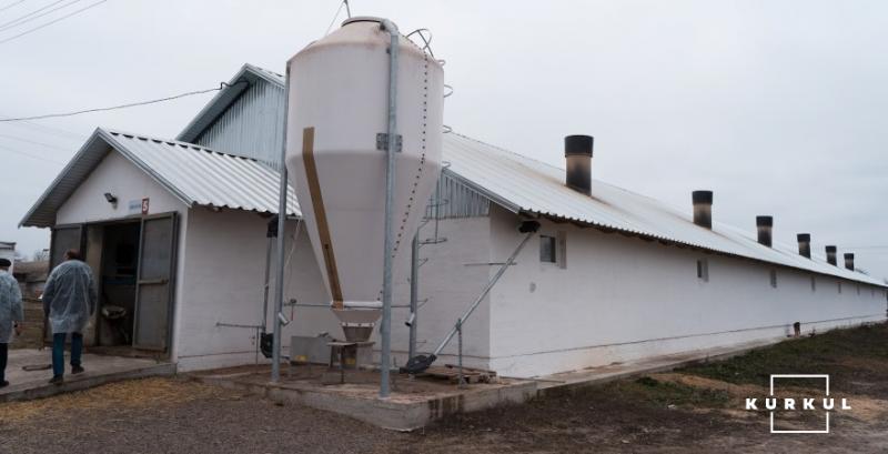 Свинарник ДП «Шевченківське»