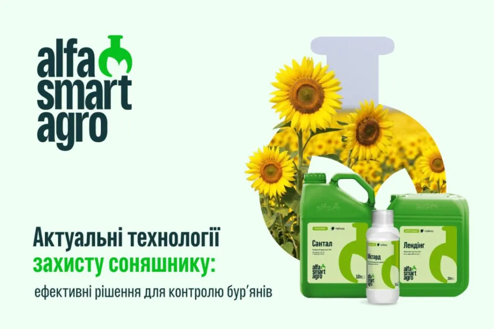 Ви зараз переглядаєте Актуальні технології захисту соняшнику: ефективні рішення для контролю бур’янів