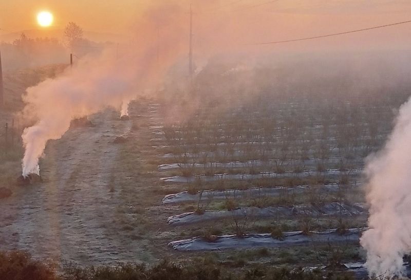 nov 14 04 2026 zamorozki 1