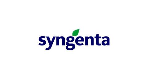 Ви зараз переглядаєте Syngenta представила новий гербіцид VIRESTINA™ для боротьби з резистентними бур’янами