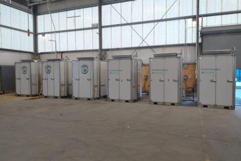Ви зараз переглядаєте Паростки полуниці: інноваційний підхід до початку сезону
