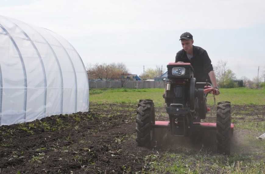 Ви зараз переглядаєте На Миколаївщині школяр-фермер вирощує у власних теплицях овочі