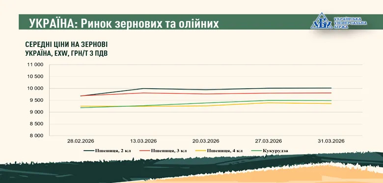 Стало відомо, як змінився ринок зернових та олійних в Україні1