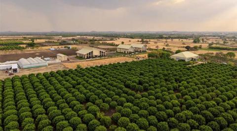Ви зараз переглядаєте TAFE відкриває JFarm у Раджастані для підтримки навчання фермерів