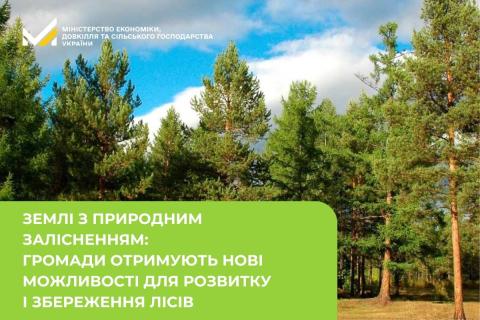 Ви зараз переглядаєте В Україні ідентифікували близько 1,9 млн га земель із природним залісненням