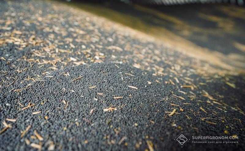 Ви зараз переглядаєте Фахівці передбачають подальше зростання цін на український ріпак