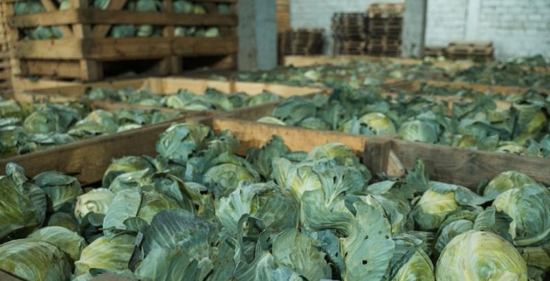 Овочесховище