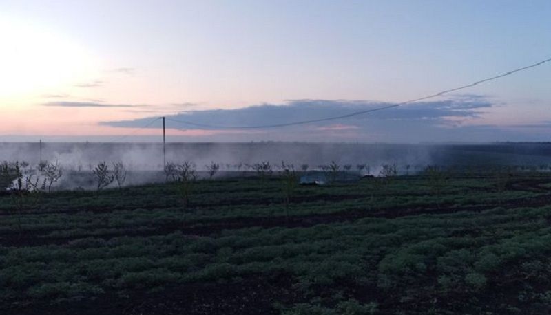 Ви зараз переглядаєте Фундуковий сад на Одещині від заморозків захищають задимленням