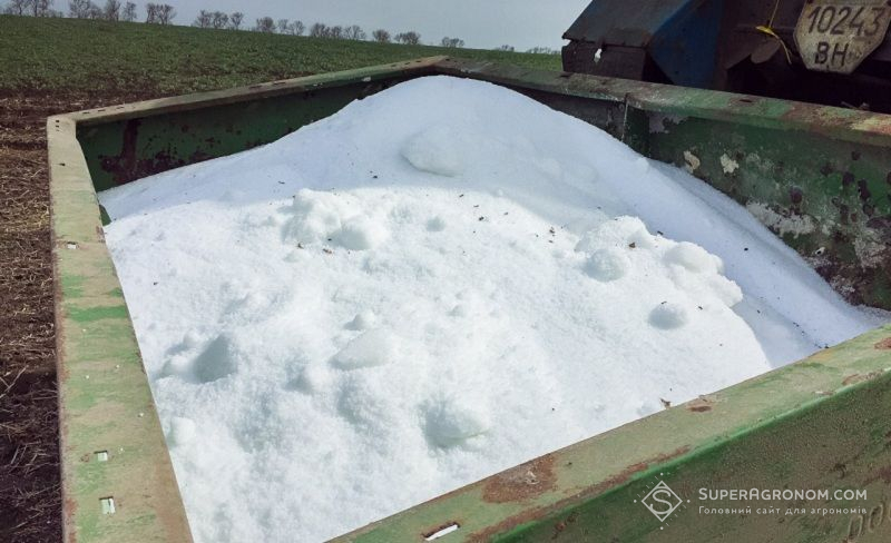 Ви зараз переглядаєте Глобальний баланс зерна під питанням: ціни на добрива змінюють світовий ринок пшениці