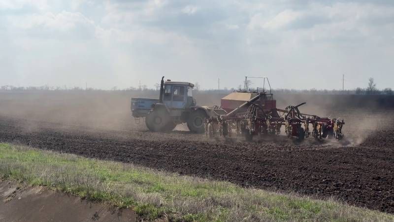 Ви зараз переглядаєте Херсонські аграрії поступово відмовляються від вирощування соняшника через нестачу вологи у ґрунті