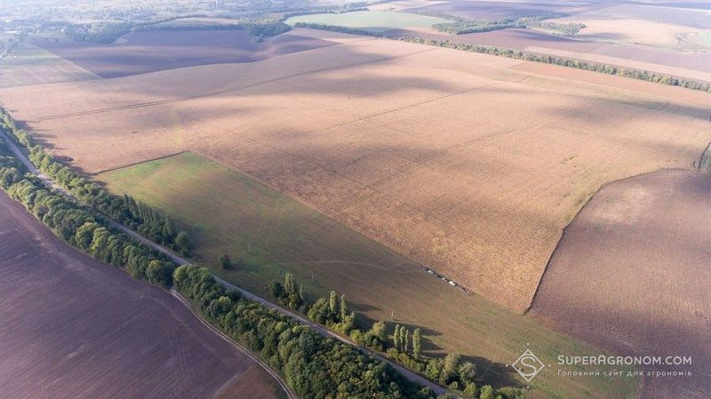 Ви зараз переглядаєте Як отримати компенсацію за втрачені посіви: держава вже виплатила 237 млн грн аграріям Херсонщини