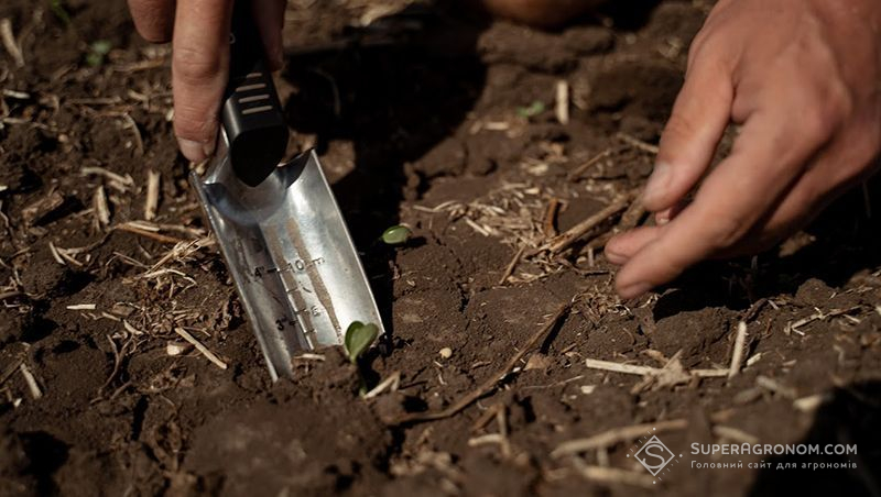 Ви зараз переглядаєте Як в посівну адаптуються до цін на добрива та пальне, розповів Олег Балагура