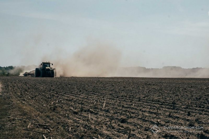 Ви зараз переглядаєте Як відрізнити симптоми ущільнення ґрунту від дефіциту елементів живлення і хвороб