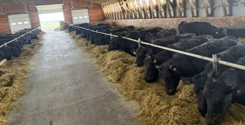 ТзОВ «Меринос-Захід»