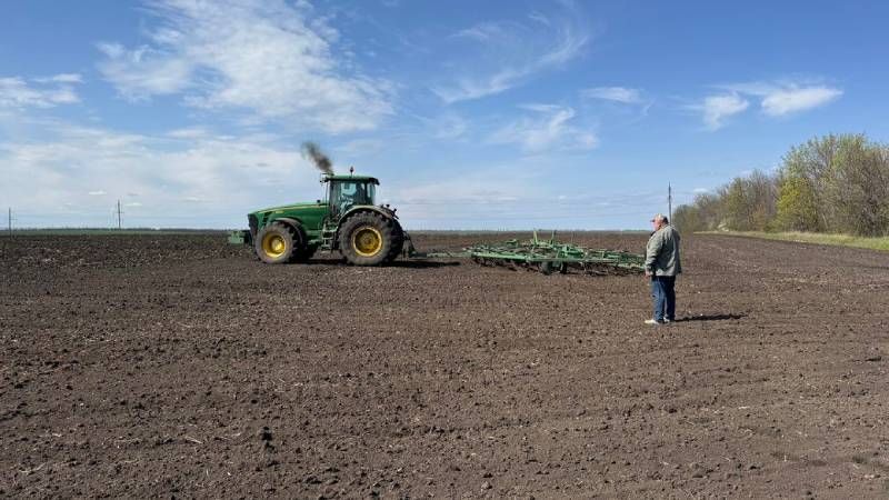 Ви зараз переглядаєте На Кіровоградщині пересіватимуть 12,5 тис. га вимерзлих озимих кукурудзою та соняшником