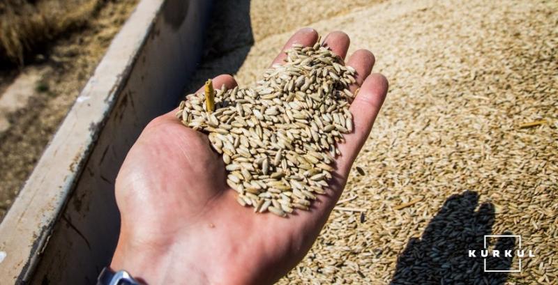 Обмежена пропозиція підтримує ціни на фуражний ячмінь Обмежена пропозиція підтримує ціни на фуражний ячмінь