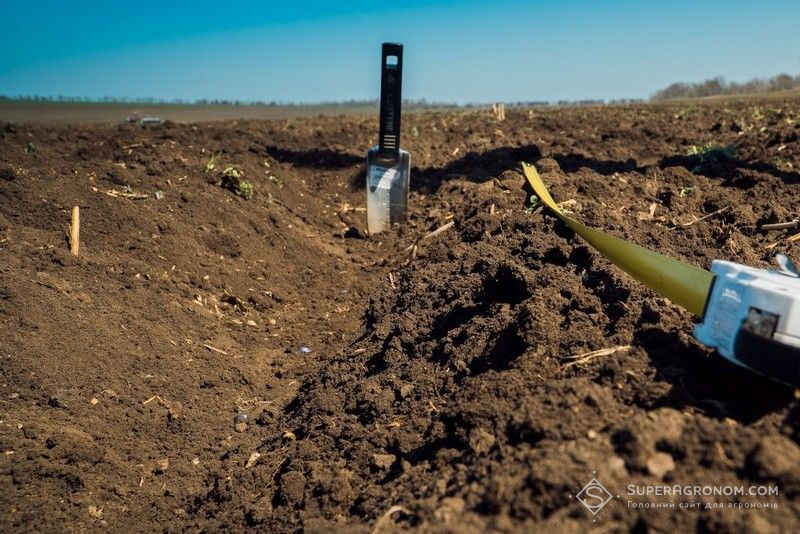Ви зараз переглядаєте Посівна 2026 перемкнулася на пізні ярі: на Рівненщині розпочали сіяти соняшник, на Львівщині — сою
