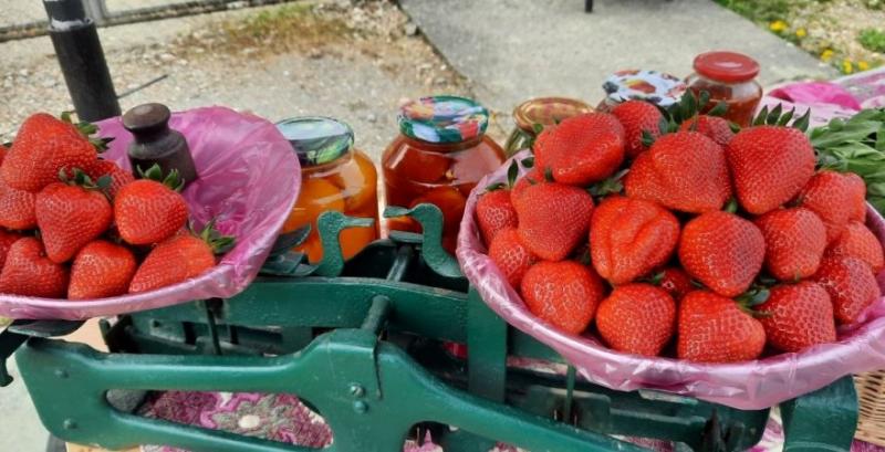 Сезон суниці 2026 стартував із високих цін