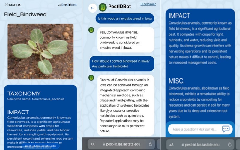 Pest-ID як веб сторінка