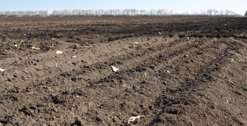 Сільгоспземля дорожчає: у березні середня вартість гектара зросла до 73 тисяч грн