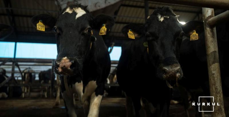 Світовий попит стимулює зростання експорту української ВРХ