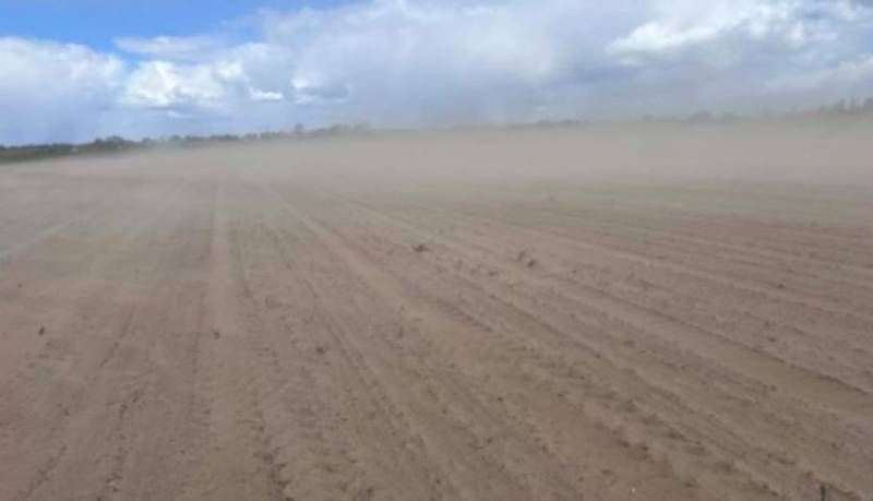 Ви зараз переглядаєте У Польщі посіви цукрових буряків та ріпаку потерпають від квітневих заморозків і вітрів