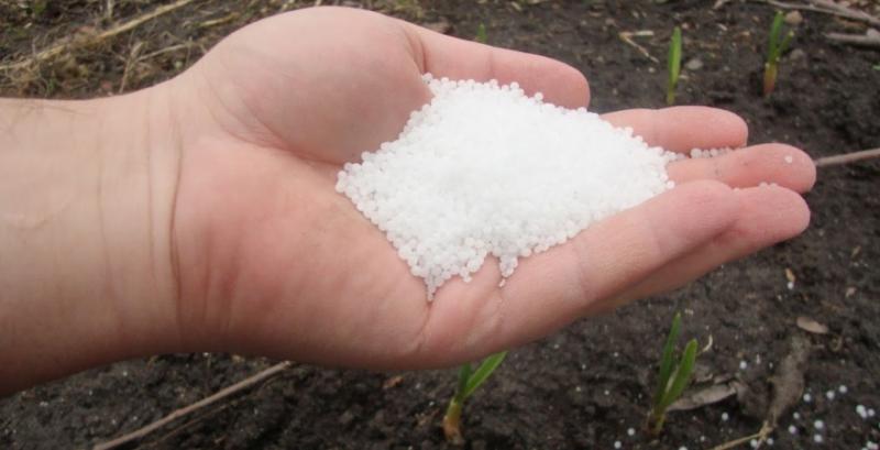 Україна покриває лише 50–60% потреб в селітрі — експерти