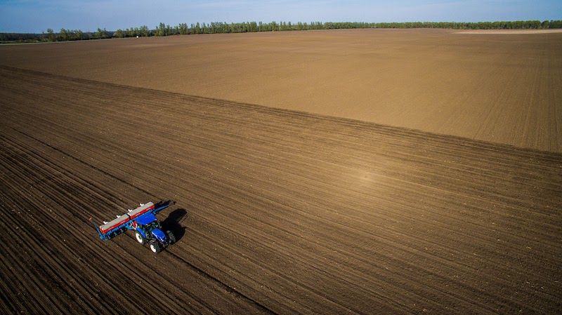 Ви зараз переглядаєте В Україні назвали середню вартість посівної у 2026 році