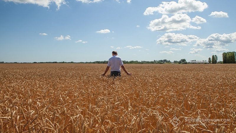 Ви зараз переглядаєте В Україні зростають зарплати агрономів і механізаторів