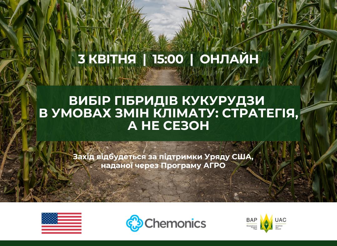 Ви зараз переглядаєте Вибір гібридів кукурудзи в умовах змін клімату: стратегія, а не сезон