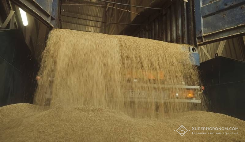 Ви зараз переглядаєте Звинувачення щодо викрадення 106 тис. тонн зерна вартістю 776 млн грн висунуто колишньому керівництву ДПЗКУ