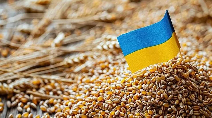 Ви зараз переглядаєте Чому дорожчає пшениця нового врожаю 