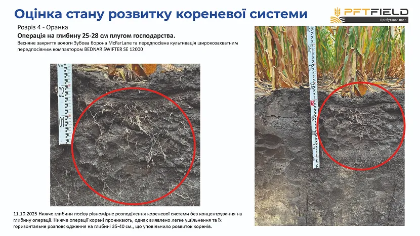 Битва за врожай на Полтавщині: Strip-till переміг оранку в сезоні-20251
