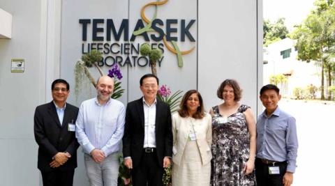 Ви зараз переглядаєте IRRI та Temasek Life Sciences Laboratory узгодили пріоритети досліджень мікробіому рису