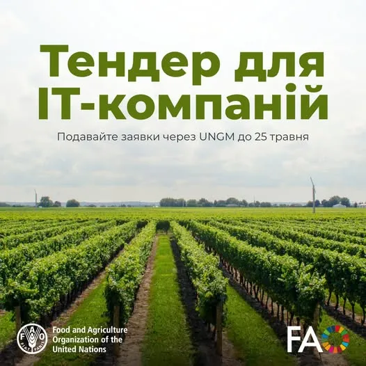 Ви зараз переглядаєте ФАО оголошує тендер на створення Виноградно-виноробничого реєстру
