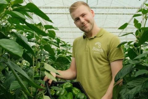 Ви зараз переглядаєте Bosch Growers інтегрували сенсори Quantified для контролю фертигації та кореневої зони в теплицях
