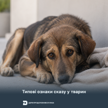 Ви зараз переглядаєте Держпродспоживслужба назвала типові ознаки сказу у диких і домашніх тварин