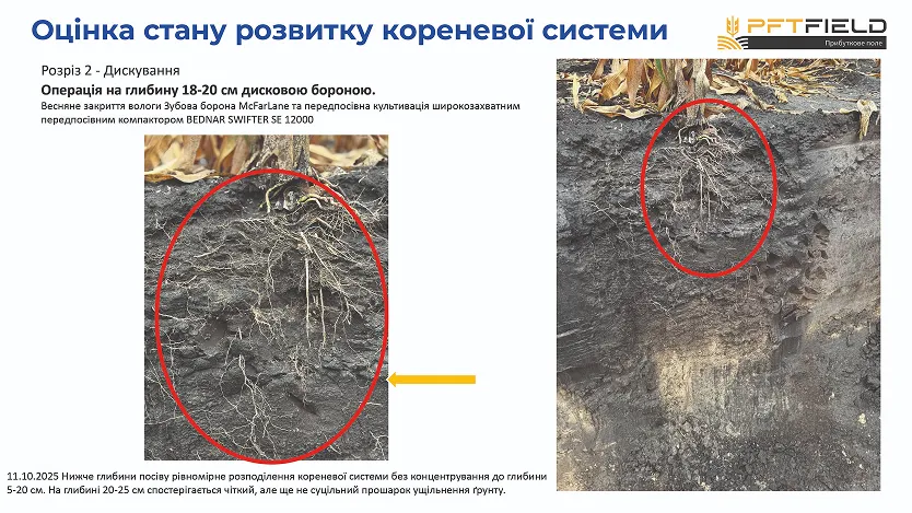 Битва за врожай на Полтавщині: Strip-till переміг оранку в сезоні-20253