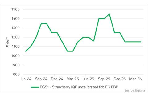 Ви зараз переглядаєте Єгипетський сектор IQF-полуниці у сезоні 2025/26: тиск витрат, регуляторні ризики та повільний експорт