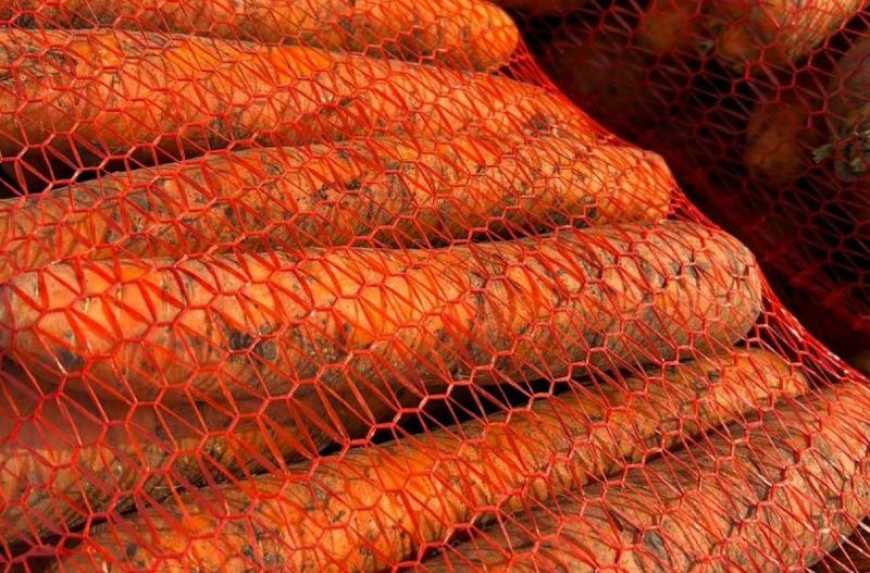 Ви зараз переглядаєте В Україні ціни на моркву за тиждень зросли на 34%
